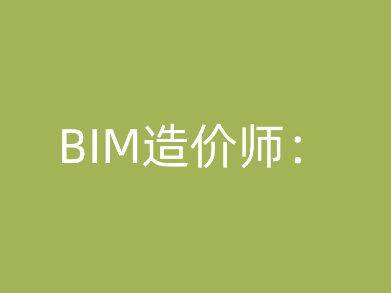 BIM造价师：