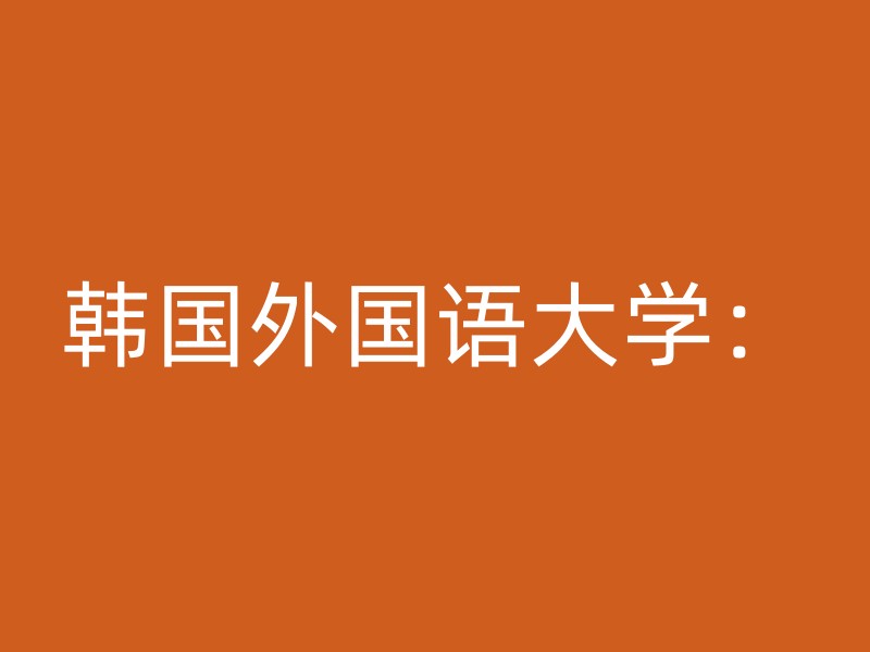 韩国外国语大学：