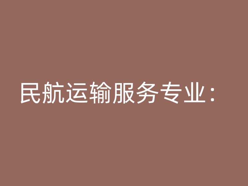 民航运输服务专业：