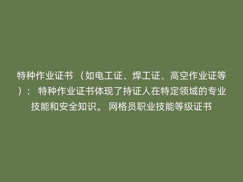 特种作业证书 （如电工证、焊工证、高空作业证等）： 特种作业证书体现了持证人在特定领域的专业技能和安全知识。 网格员职业技能等级证书