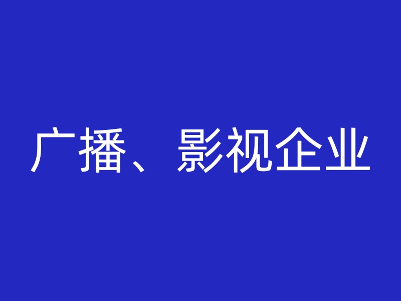 广播、影视企业