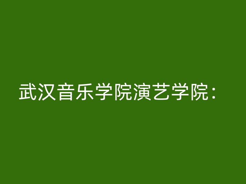 武汉音乐学院演艺学院：