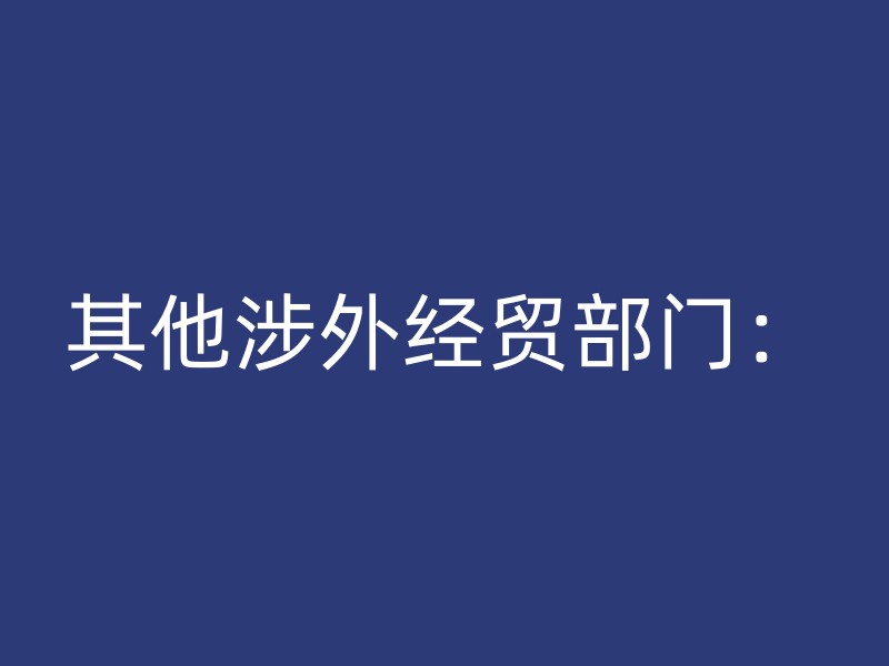 其他涉外经贸部门：