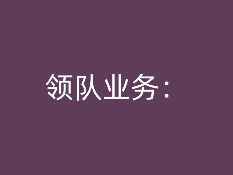 领队业务：