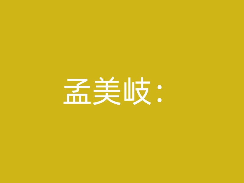 孟美岐：