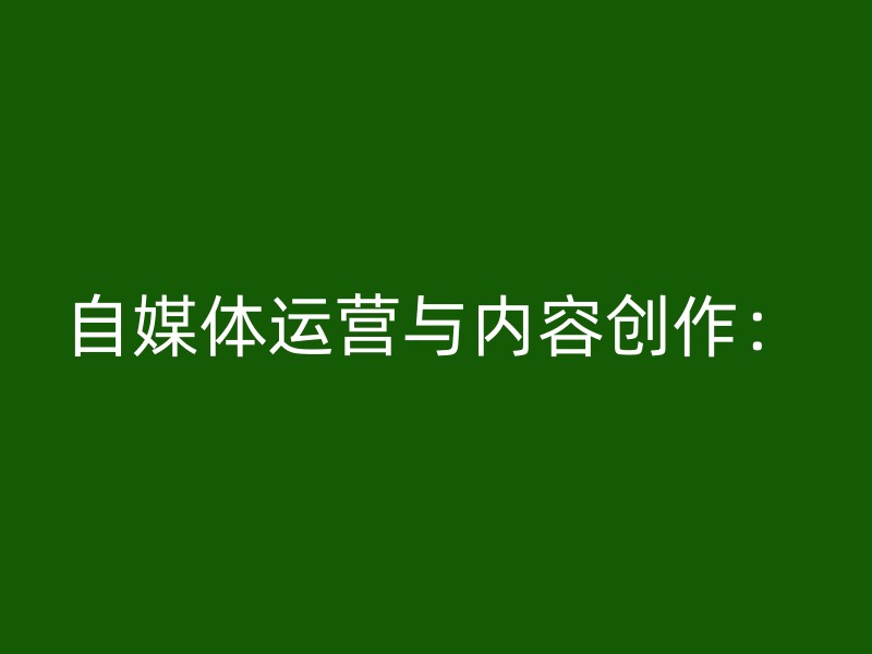 自媒体运营与内容创作：