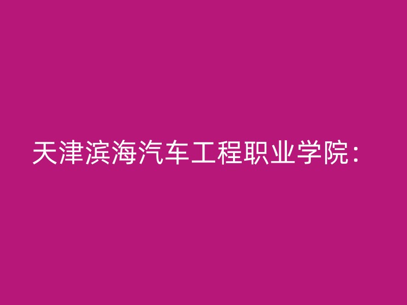 天津滨海汽车工程职业学院：