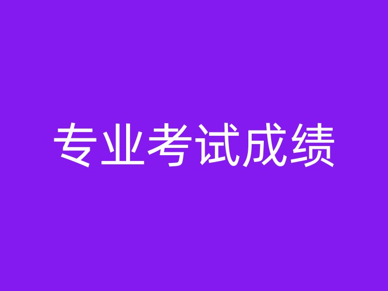 专业考试成绩