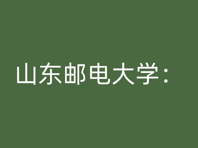 山东邮电大学：