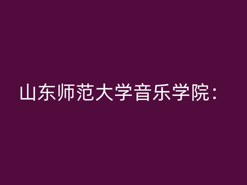 山东师范大学音乐学院：