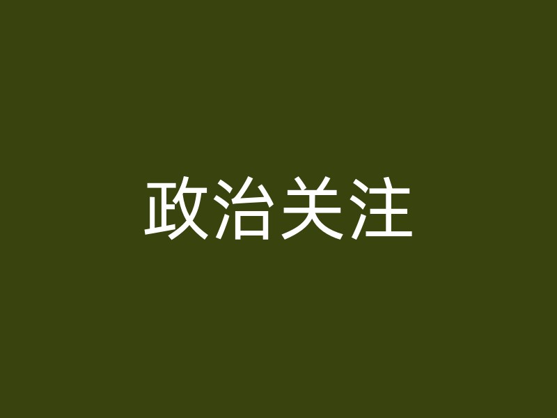 政治关注