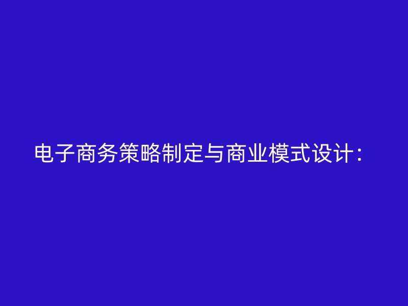 电子商务策略制定与商业模式设计：