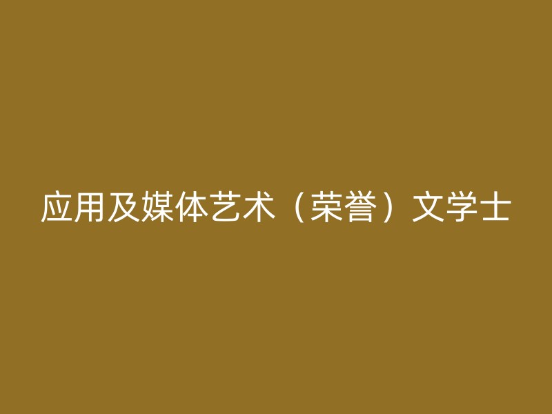 应用及媒体艺术（荣誉）文学士