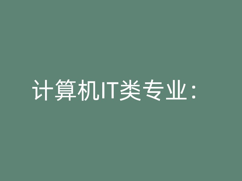 计算机IT类专业：