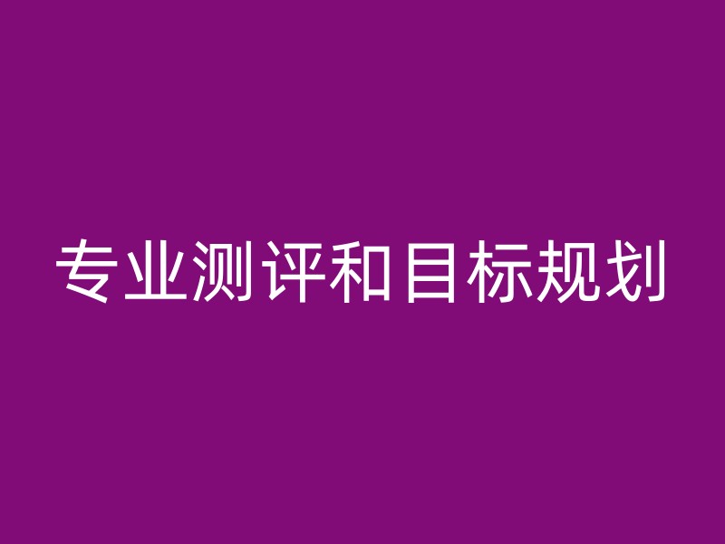 专业测评和目标规划