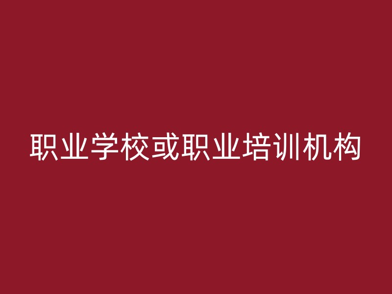 职业学校或职业培训机构