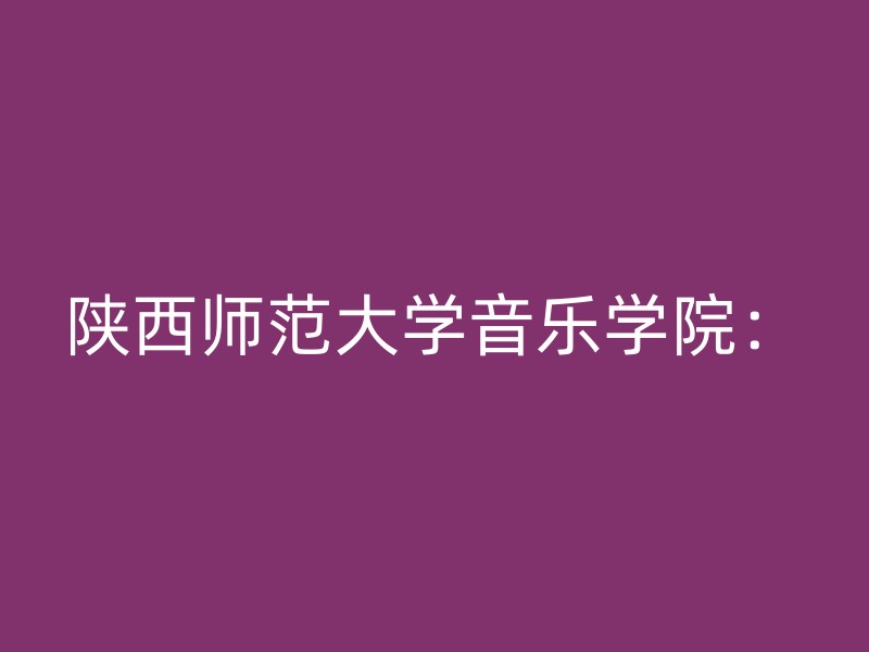 陕西师范大学音乐学院：