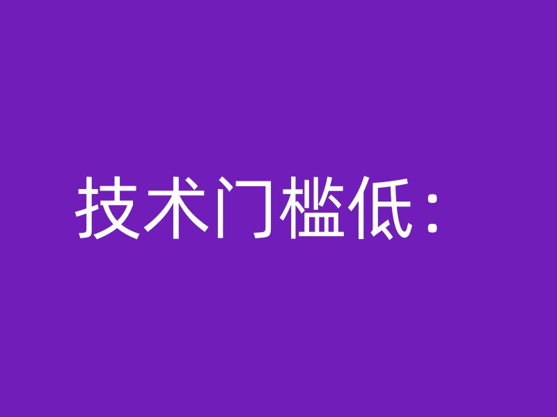 技术门槛低：