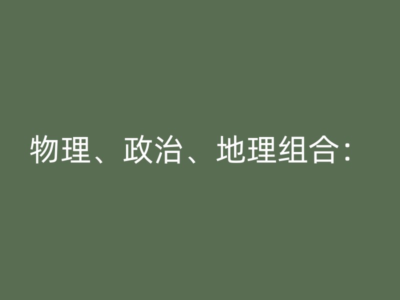 物理、政治、地理组合：