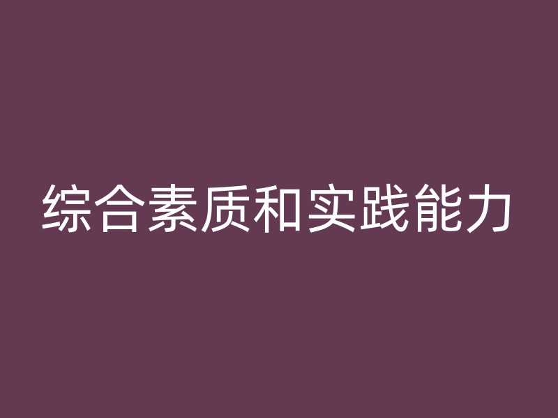 综合素质和实践能力