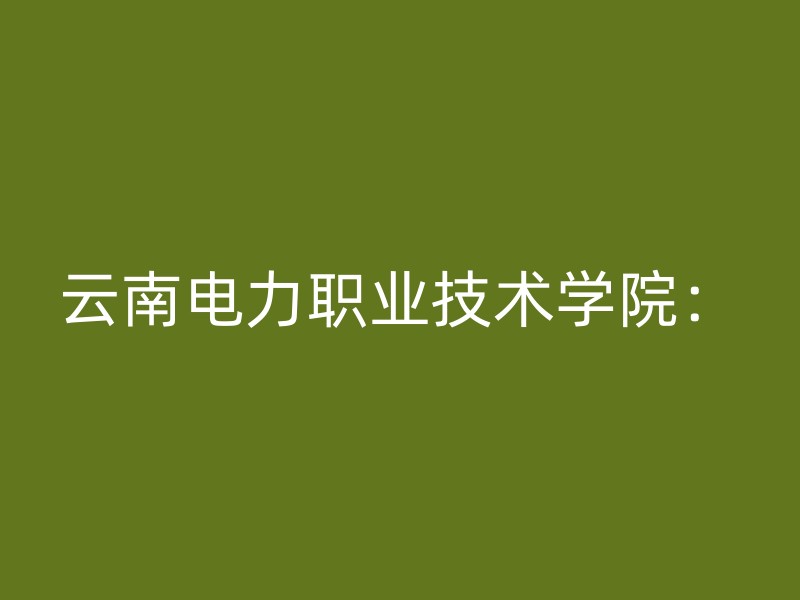 云南电力职业技术学院：