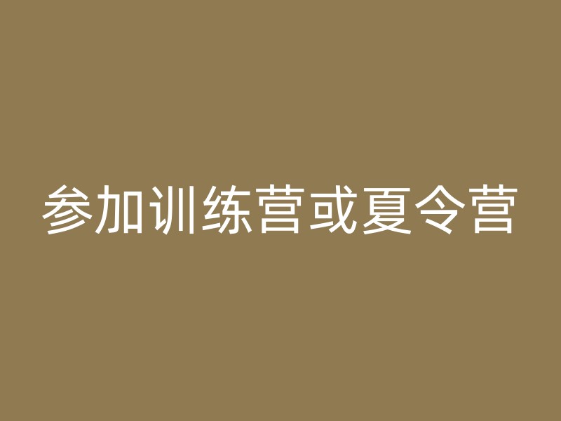 参加训练营或夏令营