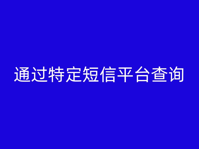 通过特定短信平台查询