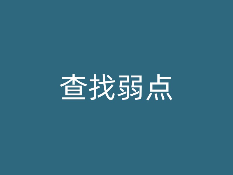 查找弱点