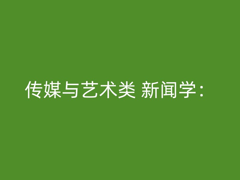 传媒与艺术类 新闻学：