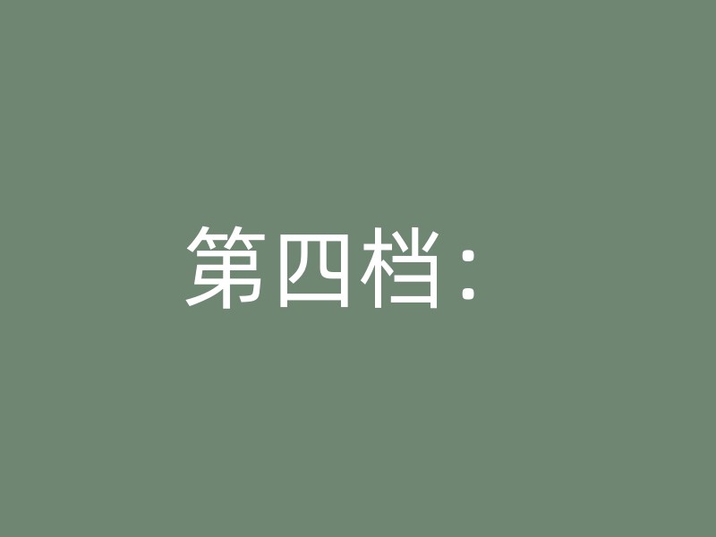 第四档：