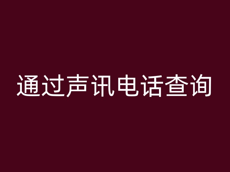 通过声讯电话查询