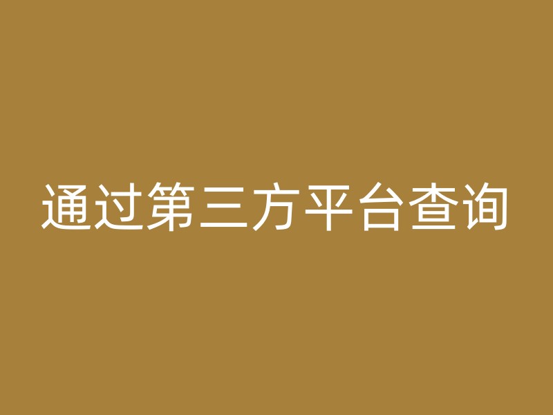 通过第三方平台查询