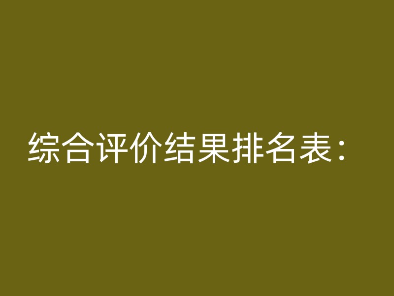 综合评价结果排名表：