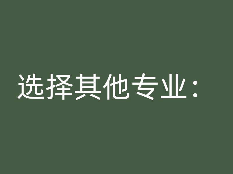 选择其他专业：