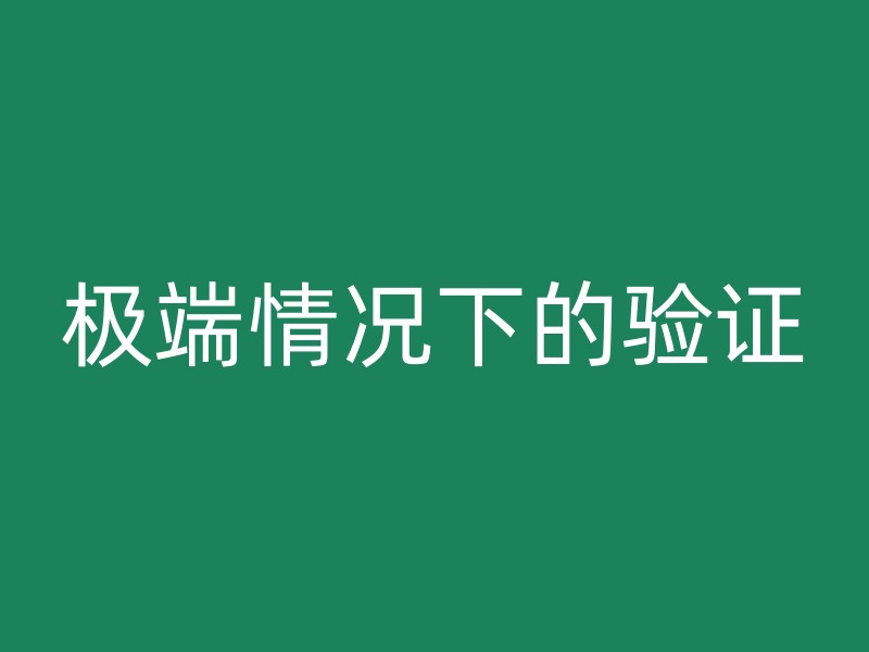 极端情况下的验证