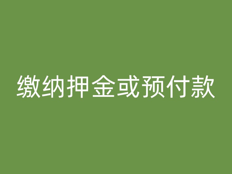 缴纳押金或预付款