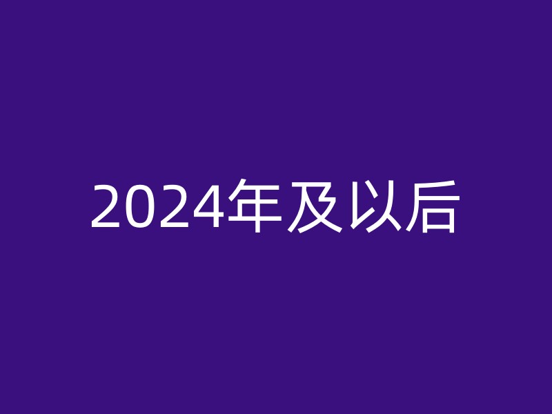 2024年及以后