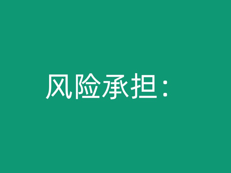 风险承担：