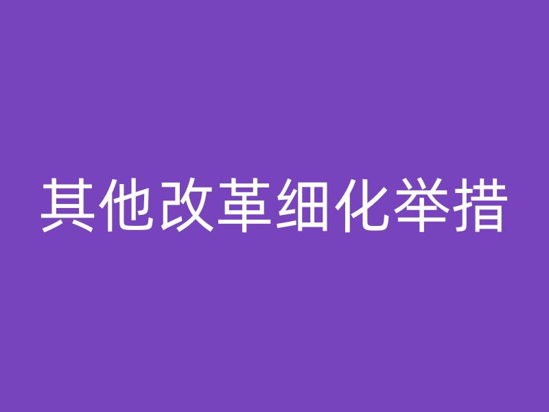 其他改革细化举措