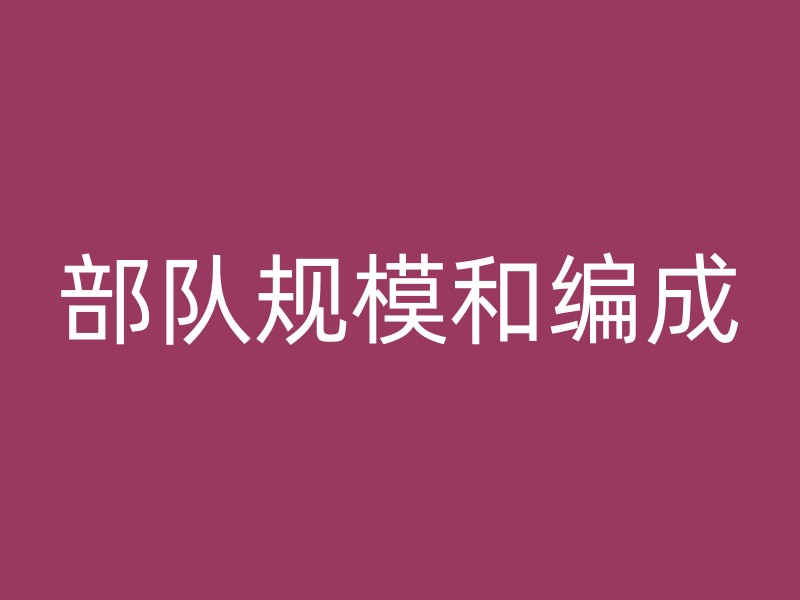 部队规模和编成