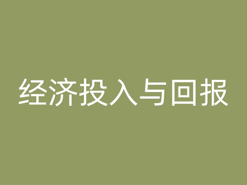 经济投入与回报