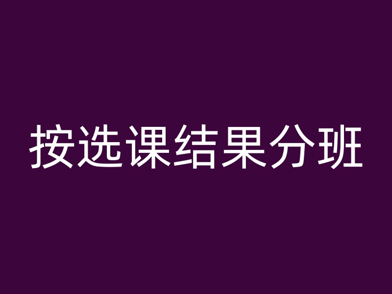 按选课结果分班