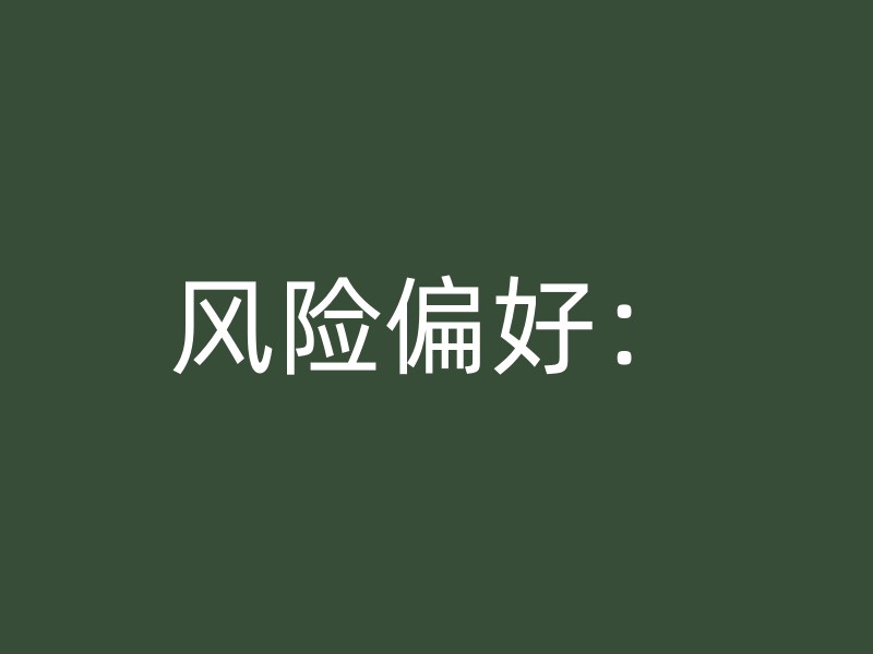 风险偏好：