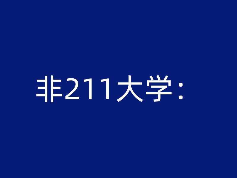 非211大学：