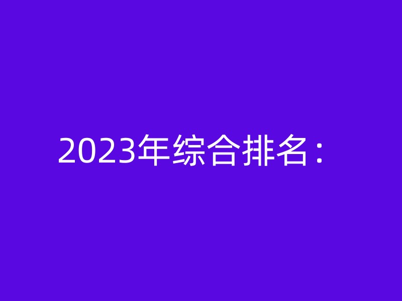 2023年综合排名：