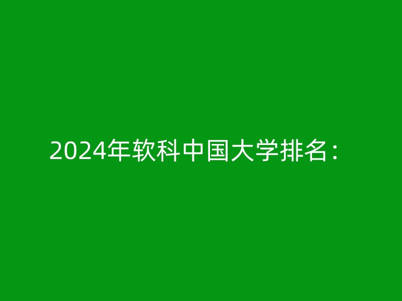 2024年软科中国大学排名：