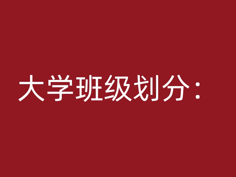 大学班级划分：