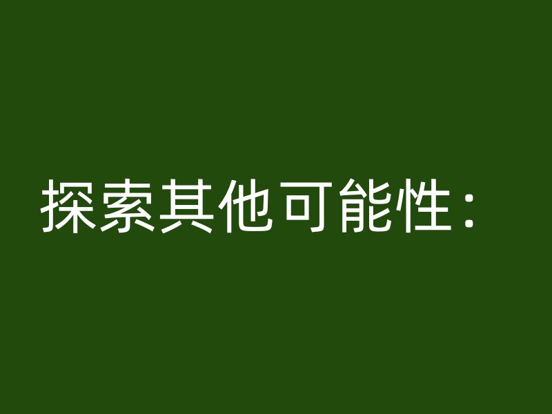 探索其他可能性：