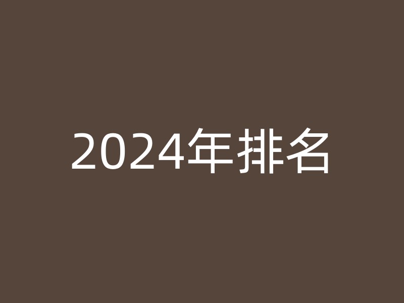 2024年排名