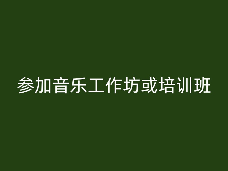 参加音乐工作坊或培训班